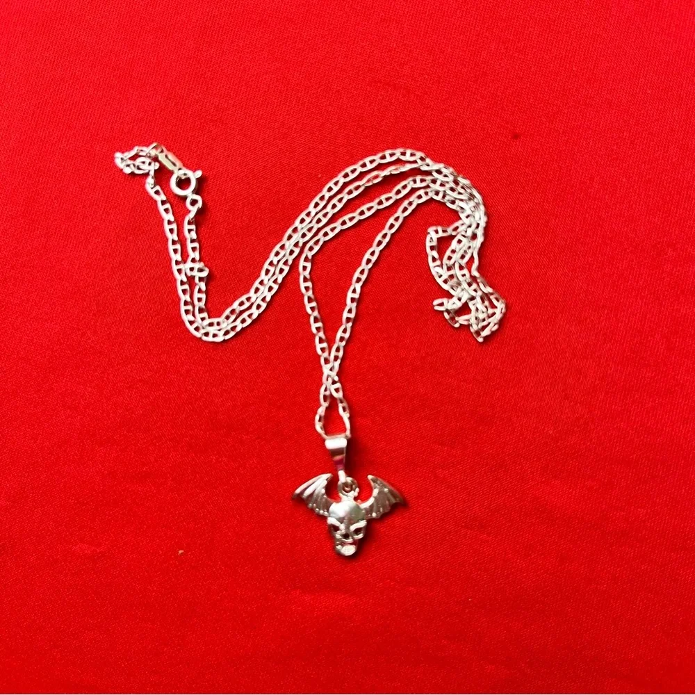 Silver‎ Winged Skull Pendant and chain Necklace